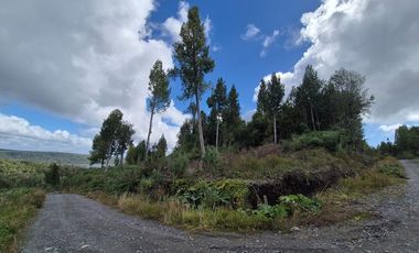 PARCELA EN LOTEO LAGO TARAHUIN