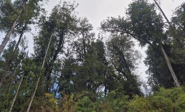 PARCELA EN LOTEO LAGO TARAHUIN