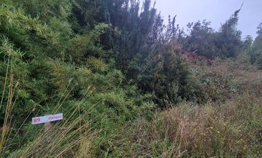 PARCELA EN LOTEO LAGO TARAHUIN
