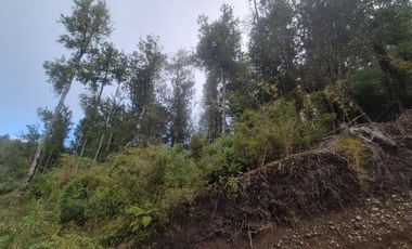 PARCELA EN LOTEO LAGO TARAHUIN