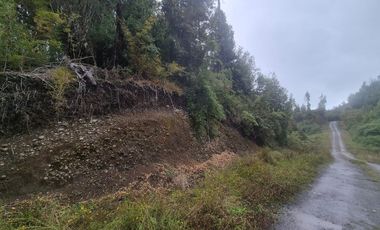 PARCELA EN LOTEO LAGO TARAHUIN
