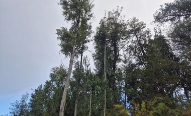 PARCELA EN LOTEO LAGO TARAHUIN