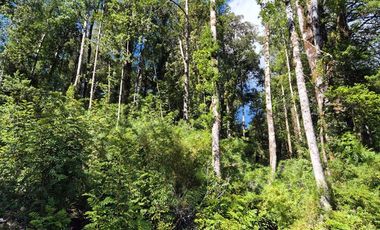 PARCELA EN LOTEO LAGO TARAHUIN