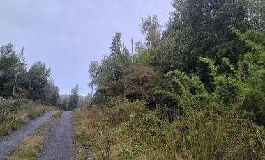 PARCELA EN LOTEO LAGO TARAHUIN
