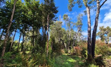 PARCELA EN LOTEO LAGO TARAHUIN