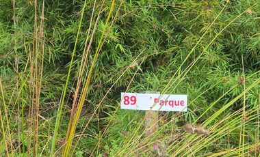 PARCELA EN LOTEO LAGO TARAHUIN