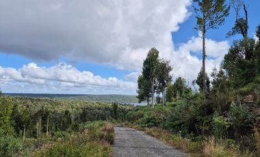 PARCELA EN LOTEO LAGO TARAHUIN