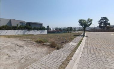 Terreno en venta en lomas de Angelopolis Puebla, zona azul