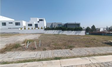 Terreno en venta en lomas de Angelopolis Puebla, zona azul