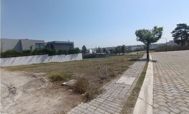 Terreno en venta en lomas de Angelopolis Puebla, zona azul