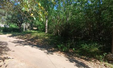Lote en venta en La Granja  . Esquina , sobre calle las Violetas . A mts del hotel Los Palomeros.