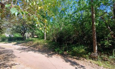 Lote en venta en La Granja  . Esquina , sobre calle las Violetas . A mts del hotel Los Palomeros.