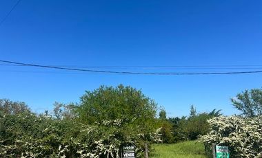 Terrenos disponibles en el acceso a Pueblo Liebig – Colón, Entre Ríos