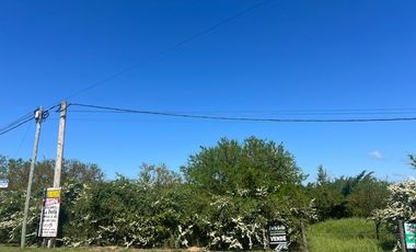 Terrenos disponibles en el acceso a Pueblo Liebig – Colón, Entre Ríos