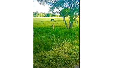CASANARE MANI AGUAZUL YOPAL FINCA GANADERA O ARROCERA