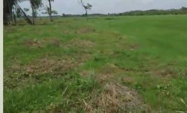 CASANARE MANI AGUAZUL YOPAL FINCA GANADERA O ARROCERA