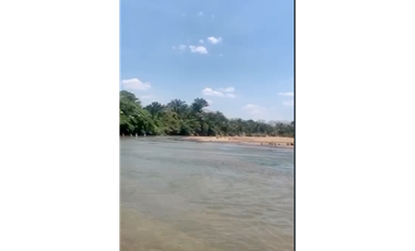 CASANARE MANI AGUAZUL YOPAL FINCA GANADERA O ARROCERA