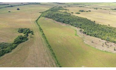 CASANARE MANI AGUAZUL YOPAL FINCA GANADERA O ARROCERA