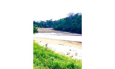 CASANARE MANI AGUAZUL YOPAL FINCA GANADERA O ARROCERA