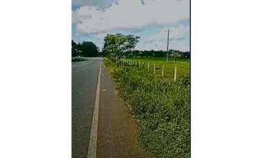 CASANARE MANI AGUAZUL YOPAL FINCA GANADERA O ARROCERA