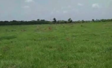 CASANARE MANI AGUAZUL YOPAL FINCA GANADERA O ARROCERA
