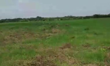 CASANARE 2 MAN AGUAZUL YOPAL FINCA GANADERA O ARROCERA 5,4 Has: