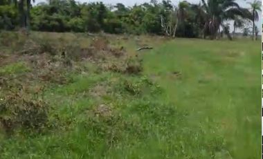 CASANARE 2 MAN AGUAZUL YOPAL FINCA GANADERA O ARROCERA 5,4 Has: