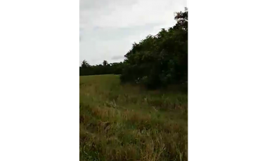 CASANARE 2 MAN AGUAZUL YOPAL FINCA GANADERA O ARROCERA 5,4 Has: