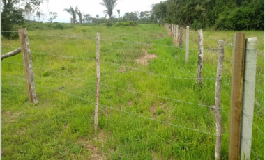 CASANARE 2 MAN AGUAZUL YOPAL FINCA GANADERA O ARROCERA 5,4 Has: