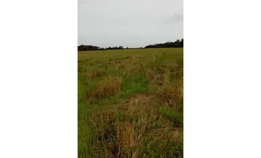 CASANARE 2 MAN AGUAZUL YOPAL FINCA GANADERA O ARROCERA 5,4 Has: