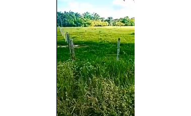CASANARE 2 MAN AGUAZUL YOPAL FINCA GANADERA O ARROCERA 5,4 Has: