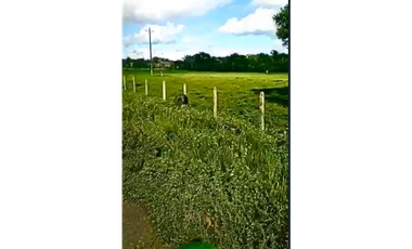 CASANARE 2 MAN AGUAZUL YOPAL FINCA GANADERA O ARROCERA 5,4 Has: