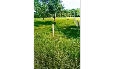 CASANARE 2 MAN AGUAZUL YOPAL FINCA GANADERA O ARROCERA 5,4 Has: