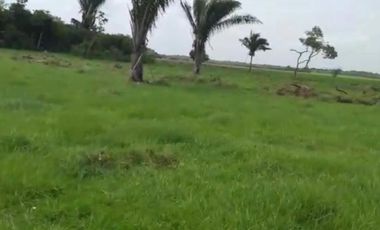 CASANARE 2 MAN AGUAZUL YOPAL FINCA GANADERA O ARROCERA 5,4 Has: