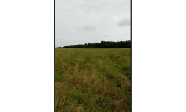CASANARE 2 MAN AGUAZUL YOPAL FINCA GANADERA O ARROCERA 5,4 Has: