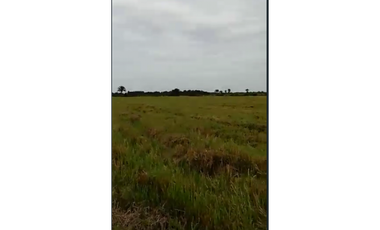 CASANARE 2 MAN AGUAZUL YOPAL FINCA GANADERA O ARROCERA 5,4 Has: