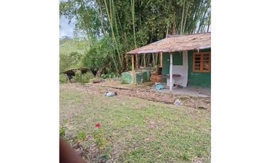 FINCA PARA GANADERIA EN FILANDIA