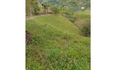 FINCA PARA GANADERIA EN FILANDIA
