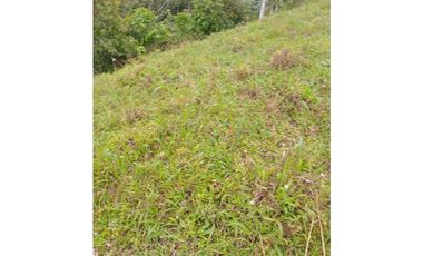 FINCA PARA GANADERIA EN FILANDIA