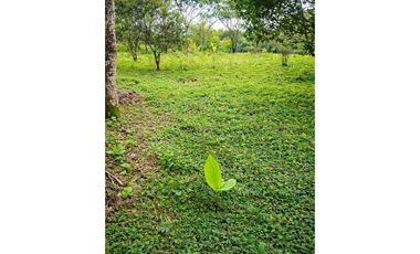 FINCA PARA GANADERIA EN FILANDIA