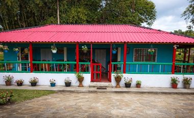 FINCA PARA GANADERIA EN FILANDIA