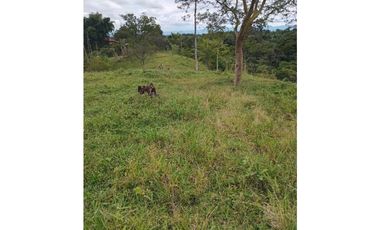 FINCA PARA GANADERIA EN FILANDIA