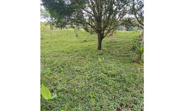 FINCA PARA GANADERIA EN FILANDIA
