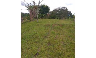 FINCA PARA GANADERIA EN FILANDIA