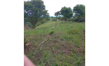 FINCA PARA GANADERIA EN FILANDIA