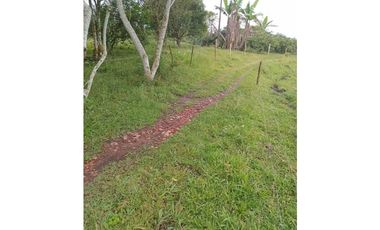 FINCA PARA GANADERIA EN FILANDIA