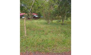 FINCA PARA GANADERIA EN FILANDIA