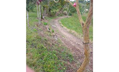 FINCA PARA GANADERIA EN FILANDIA