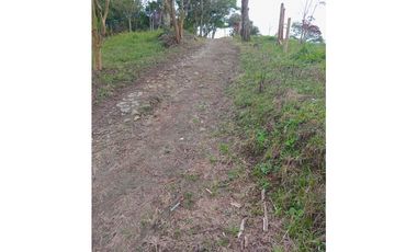 FINCA PARA GANADERIA EN FILANDIA