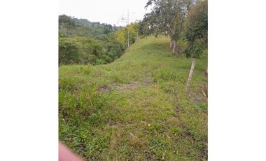 FINCA PARA GANADERIA EN FILANDIA